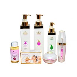GAMME CARIMO TEINT METIS GM